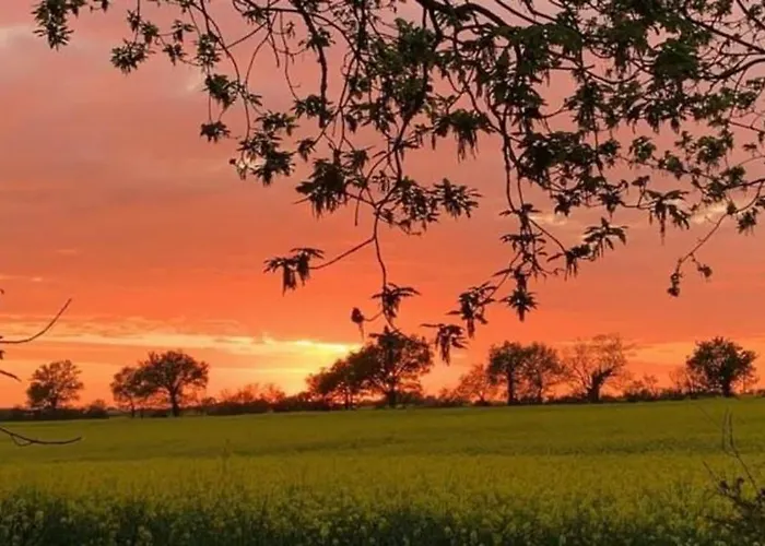 F3 House With Garden In